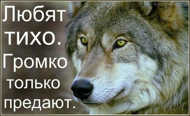 www.vsyako.net