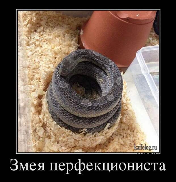 1448261779_006
