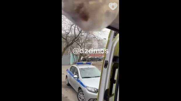Video: 2025-02-11 19.55.45.mp4
