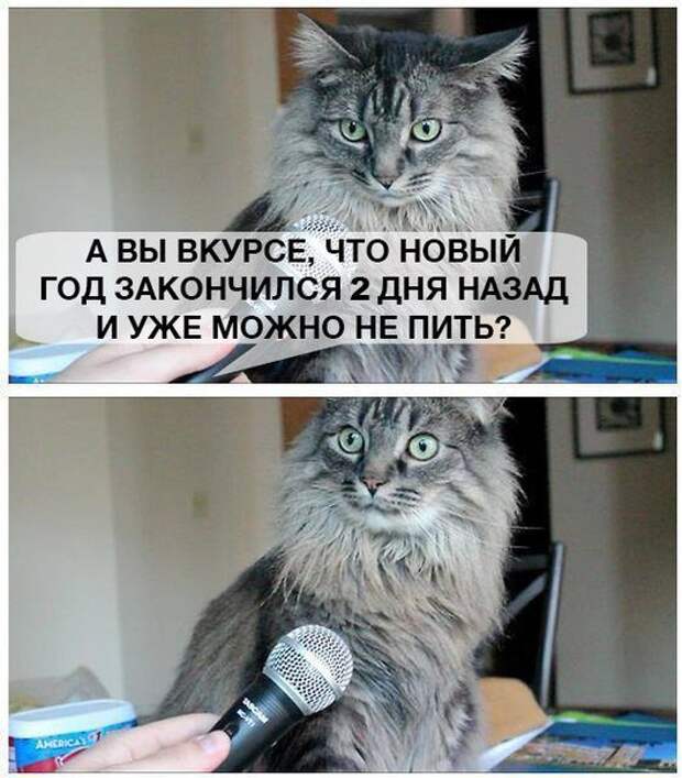 00MaKr8XcAr2Yy (529x604, 71Kb)