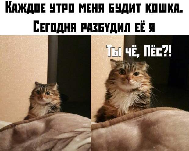 www.vsyako.net