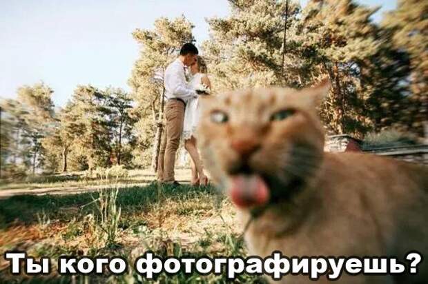 Позитивные и прикольные картинки с надписями со смыслом (11 фото) Позитивные и прикольные картинки с надписями со смыслом (11 фото)