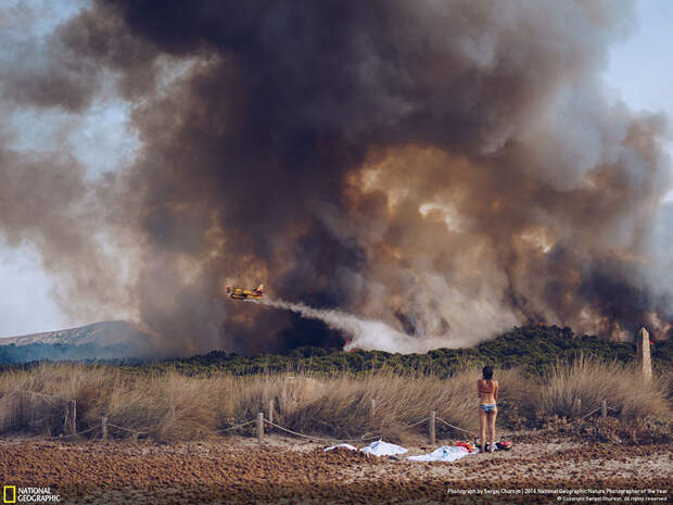 2016-national-geographic-nature-photographer-of-the-year-winners-17-584fb7a747654__880