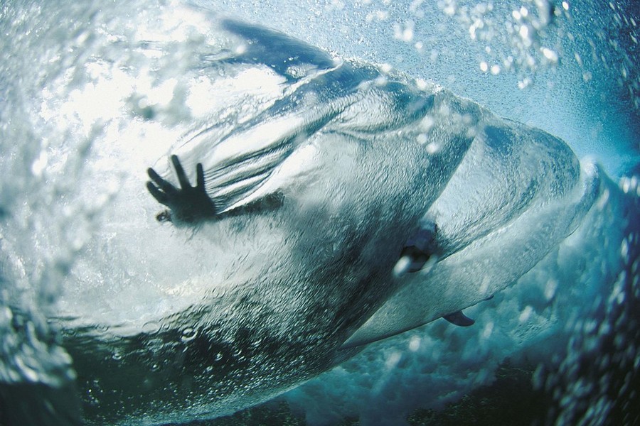 Red Bull Illume отмечает юбилей