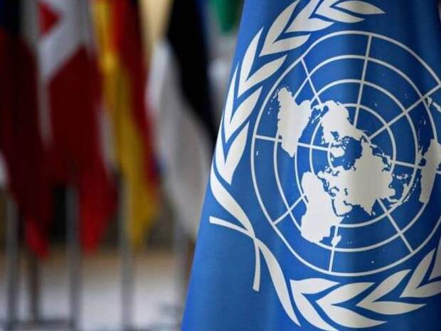 "Всё делается открыто": Организация Объединённых Наций и Управляемое сокращение населения