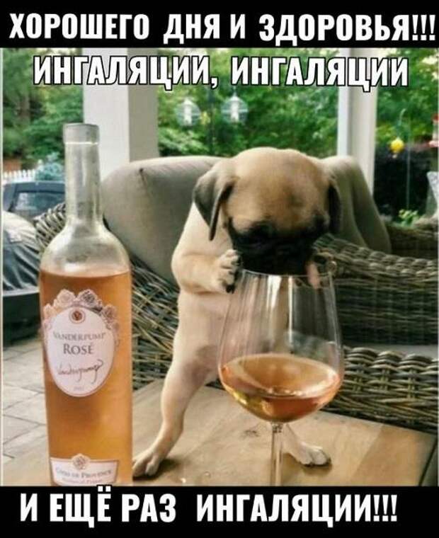 Свежие улетные картинки