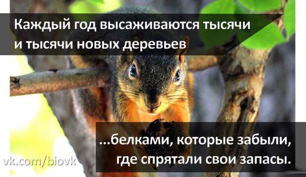 Сегодняшняя солянка комиксов и приколов (32 картинки)