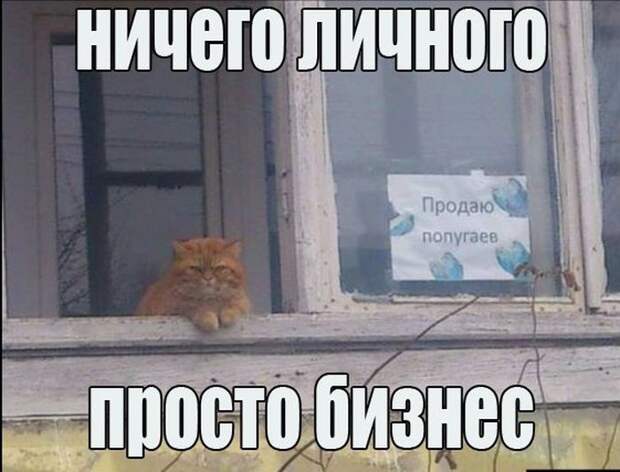 1467746123_49