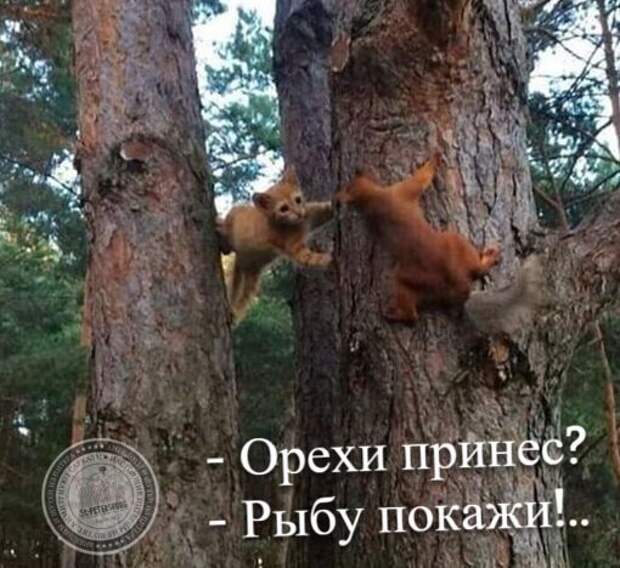 Бартер