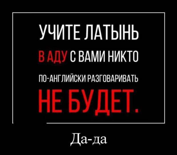 Прикольные и просто красивые картинки
