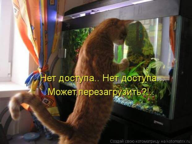 Котоматрицы(картинки с надписями)