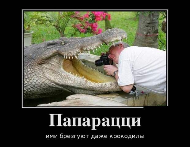 Прикольные новые демотиваторы