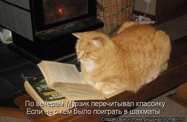 Мысли вслух :)