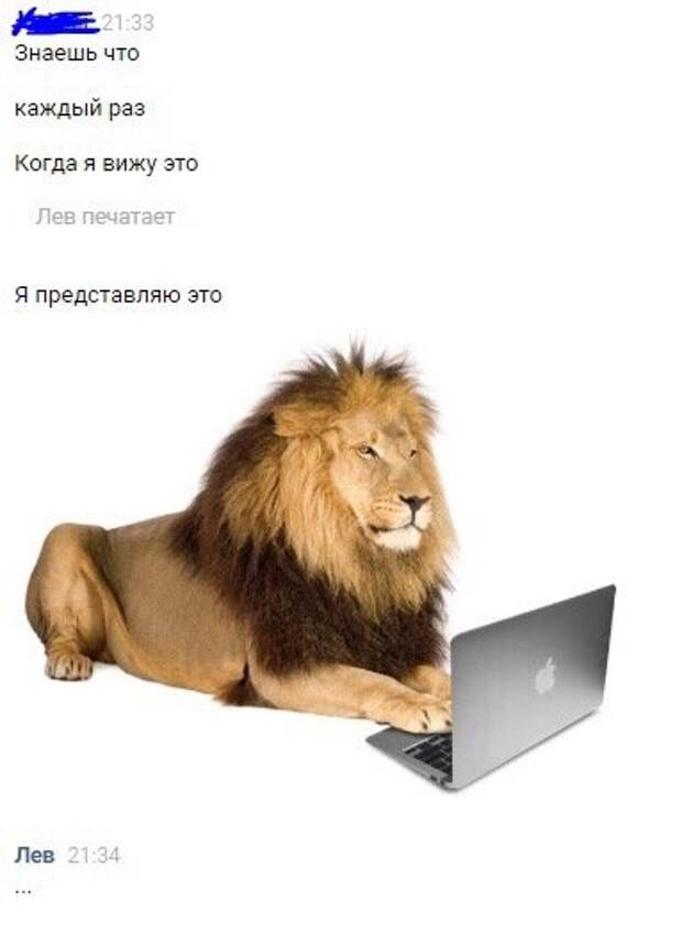 Нестандартный юмор :)