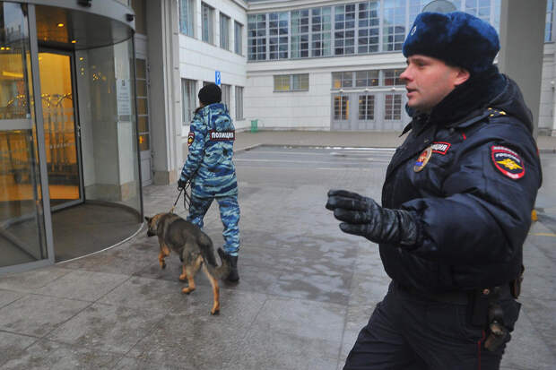 К поискам пропавшей российской школьницы привлекли дроны