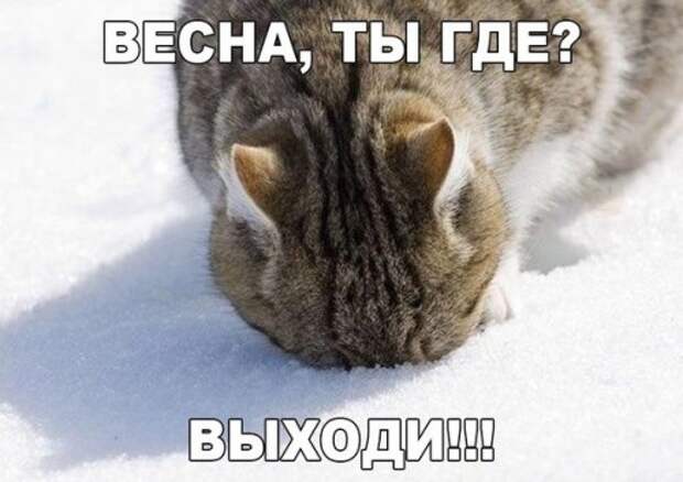 Новые фотомемы с приколами (26 шт)