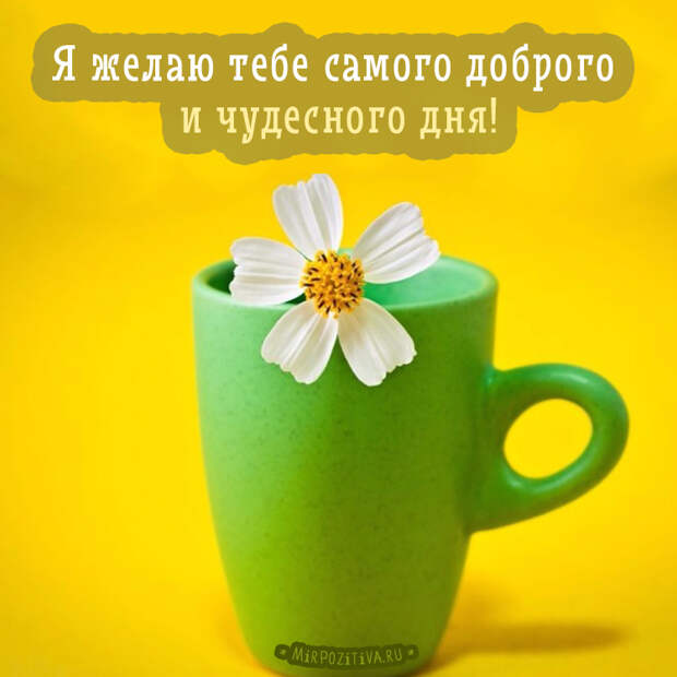 Хорошего всем настроения!