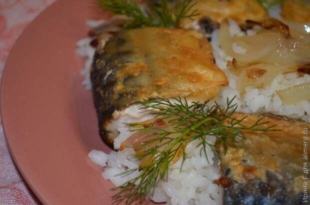 Скумбрия жареная с травами и луком рецепт Скумбрия жареная с травами и луком рецепт