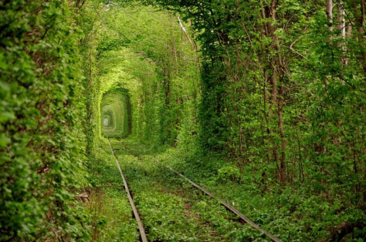 Удивительные фотографии со всего света природа, мир, удивительное, фотографии