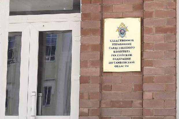 В Тамбове завершено расследование уголовного дела о публичной демонстрации экстремистской символики