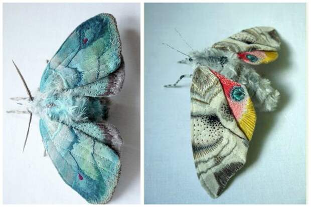 Вы удивитесь, узнав кое-что об этих бабочках бабочки, искусство, красота, рукоделие, талант