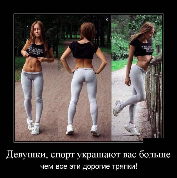Демотиваторы бревно, демотиваторы, юмор