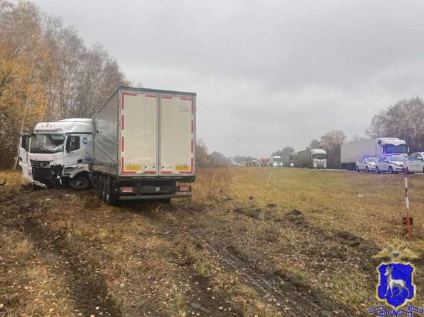 Водитель КамАЗа погиб в ДТП с «Газелью» на трассе М-5 в Самарской области