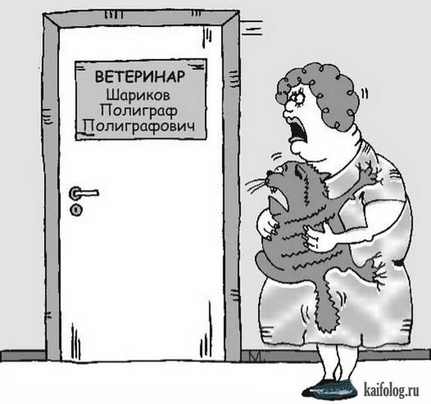 Картинки ветеринар прикольные