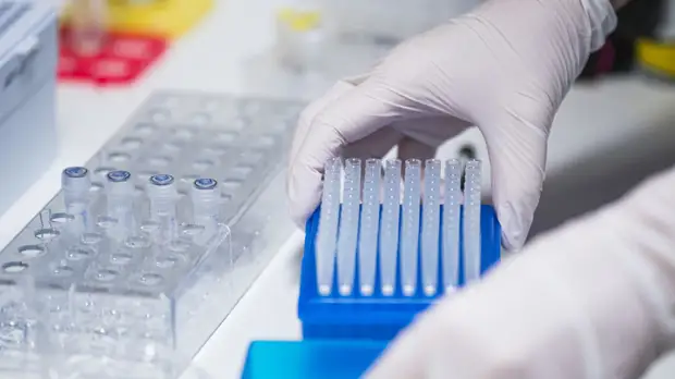 В Молдавии за сутки выявили 65 новых случаев коронавируса