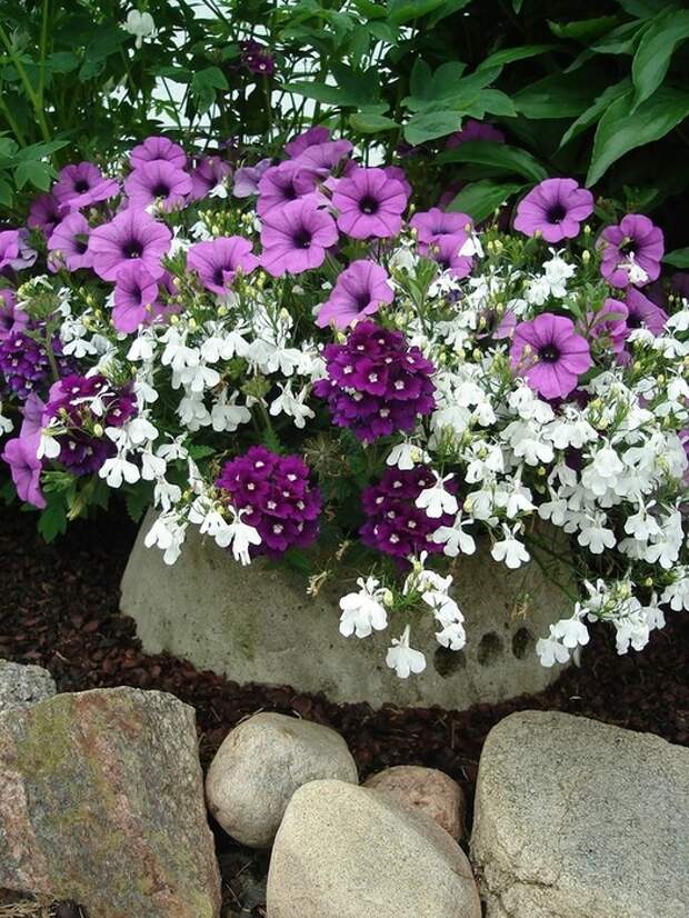 0_9994b_3b8979d5_XL (525x700, 365Kb)