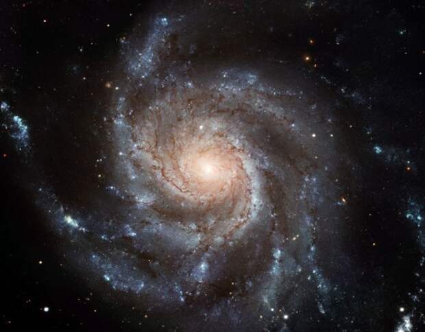 Галактика Цевочное Колесо