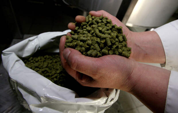 Россия рекордно закупилась у США пивным сырьем