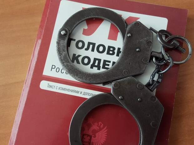 Полицейские севера столицы задержали подозреваемую в краже. Фото из архива редакции