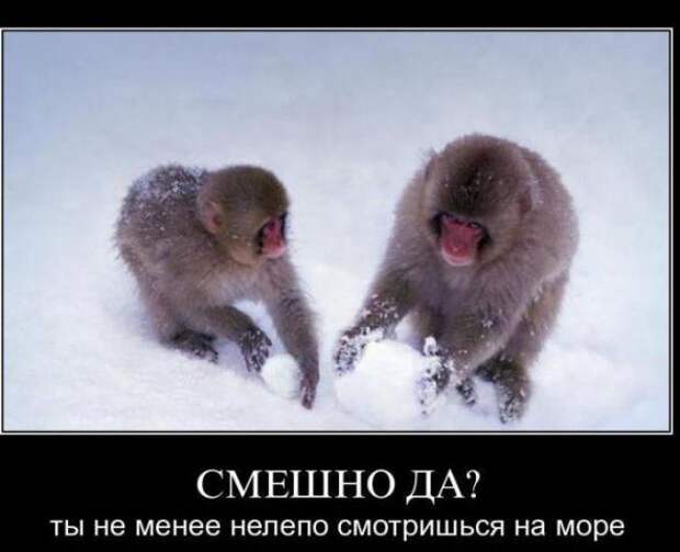 Подборка классных демотиваторов № 108