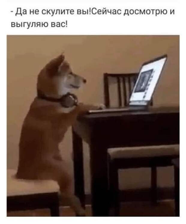 Не скулите! Сейчас все будет... Не скулите! Сейчас все будет...