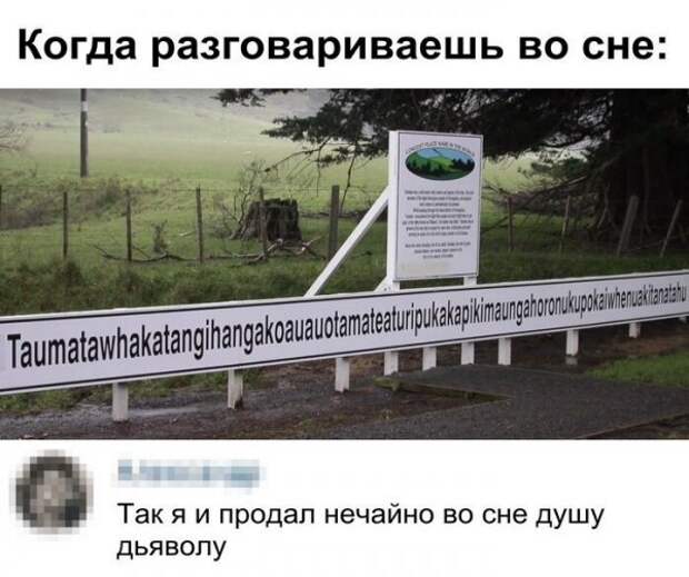 Скрины из социальных сетей