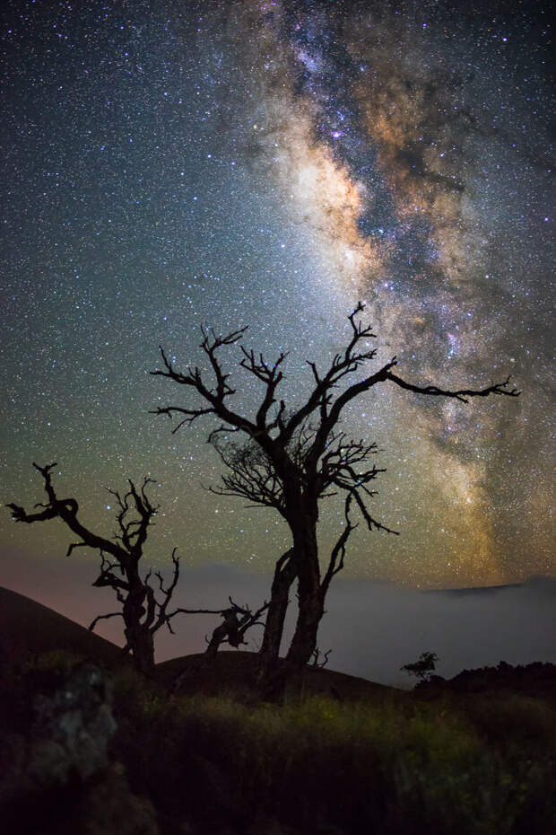 Млечный путь над Гавайями: потрясающие астрофотографии Ульдерико Грейнджера гавайи, млечный путь, небо