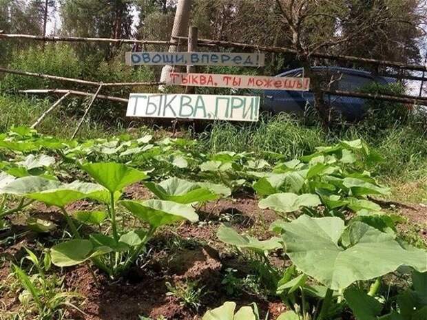 ФотоВсячина