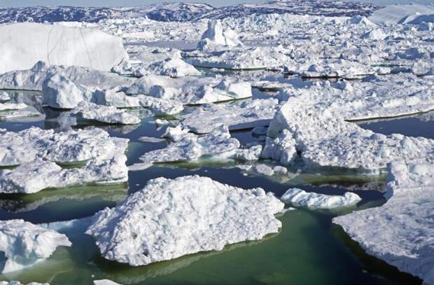 Датские ученые нашли гигантские вирусы во льдах Гренландии