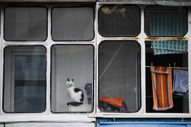 Юрист Алешкин: за хранение вещей на балконе грозит крупный штраф или арест