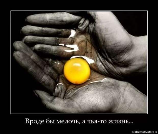 Прикольные демотиваторы с надписями. Подборка chert-poberi-dem-chert-poberi-dem-32310504012021-6 картинка chert-poberi-dem-32310504012021-6