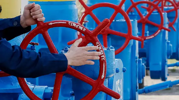 Эксперт объяснил планы ФРГ продолжать закупки газа из России после 2050 года