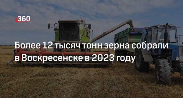 Более 12 тысяч тонн зерна собрали в Воскресенске в 2023 году