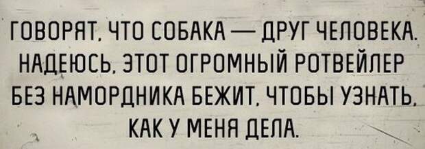 Новый год на носу!