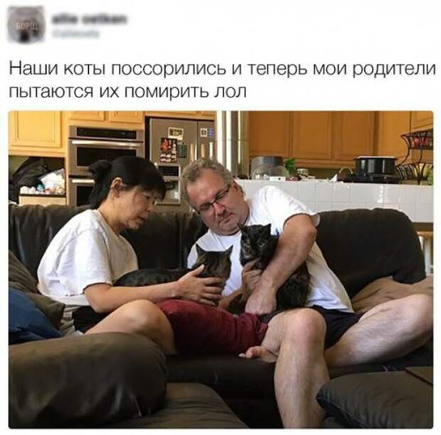 Убойная подборочка сатирических комментариев из сети о народных юмористов