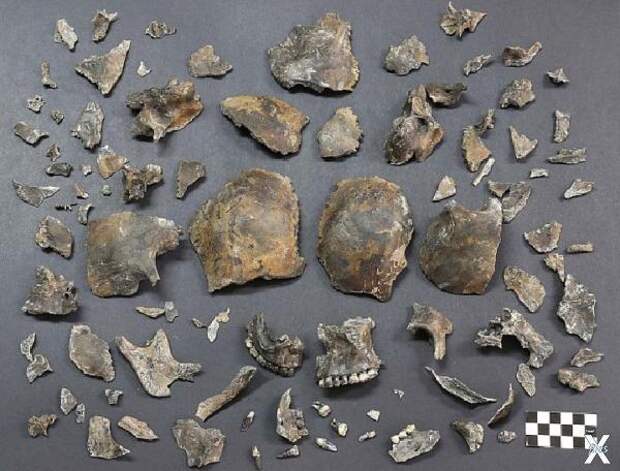 В гробу череп находился почему-то в р...