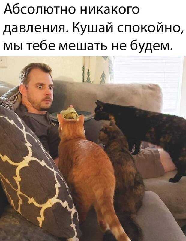 www.vsyako.net
