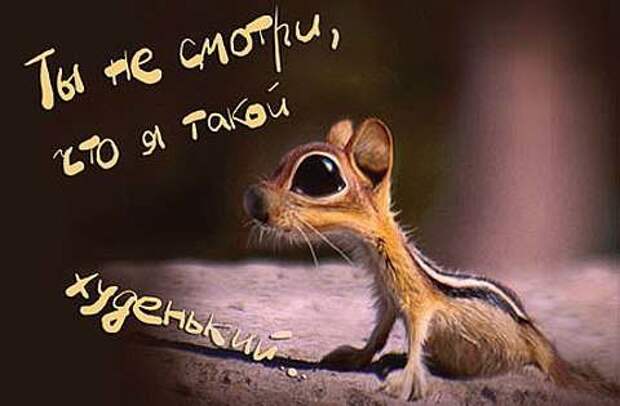 На Новый Год надейся, а сам наливай! открытки, приколы, юмор