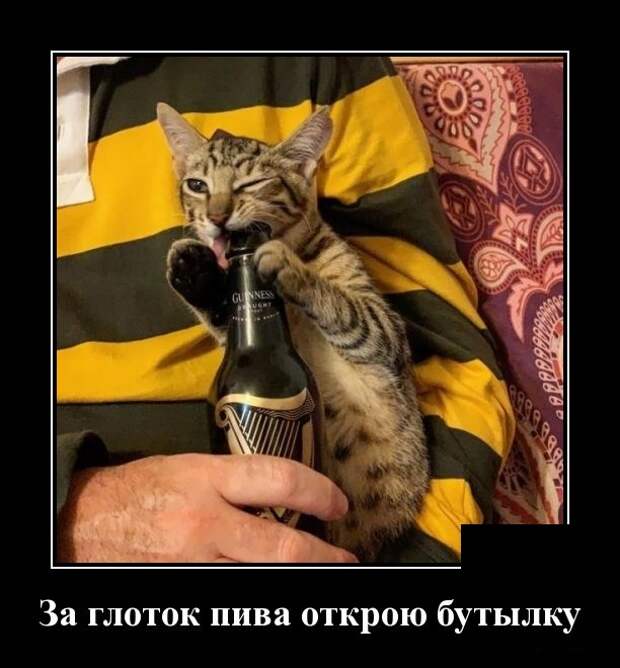 www.vsyako.net