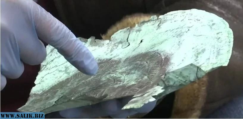 Во Флориде обнаружена 10000-летняя маска из внеземного металла Во Флориде обнаружена 10000-летняя маска из внеземного металла